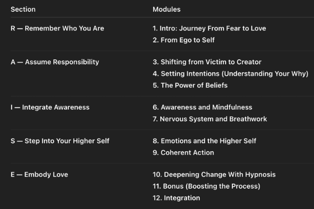 RAISE framework — 5 sections and 12 modules of the course